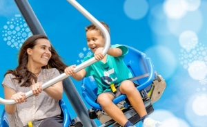 Zoomarine celebra o Natal com 25% de desconto em entradas e experiências para 2026