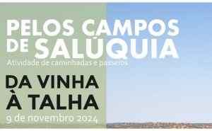 CAMPOS DE SALÚQUIA | «Da Vinha à Talha» é a próxima atividade, em Amareleja 