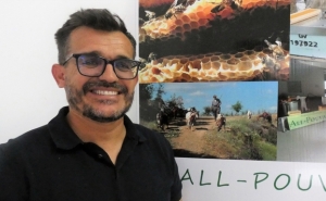 Entrevista | Aurélio Cavaco é apicultor e proprietário da empresa All-Pouvar