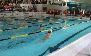 Associação de Natação do Algarve Celebra Sucesso do Torregri II em Silves