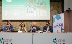 Inovação em destaque na apresentação dos resultados  do projeto Matéria Adentro