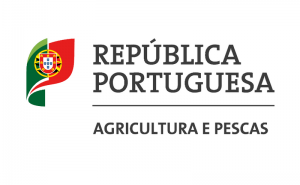 Comissão Europeia aprova mobilização de 15 milhões de euros para resolver crise de excedente de vinho em Portugal 