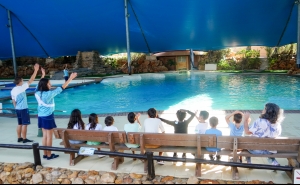 Zoomarine e ULS - Algarve proporcionam experiência especial a crianças e jovens com doença