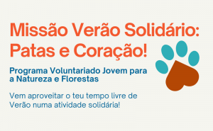 OPORTUNIDADE DE VOLUNTARIADO EM ALBUFEIRA  «MISSÃO VERÃO SOLIDÁRIO – PATAS E CORAÇÃO»