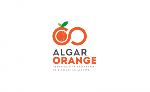 Desafios no Escoamento da Laranja do Algarve: Um Olhar sobre as Importações e o Futuro da Citricultura regional