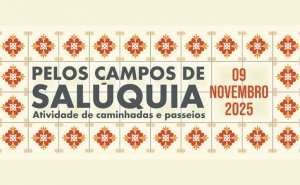 Rota do Sol convida a descobrir Amareleja a pé 