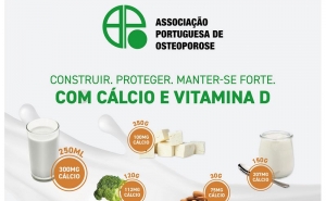 Os ossos também aprendem: da inteligência celular à capacidade de nos mantermos fortes 
