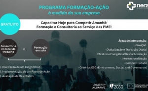 Programa de Formação-Ação | Consultoria e Formação Financiadas dirigidas às PME do Algarve