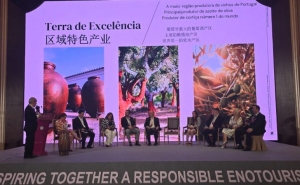 Alentejo vai acolher a cimeira do Global Wine Tourism Organization em 2026