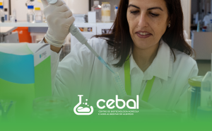 CEBAL intensifica aposta em projetos de inovação no Alentejo: 3,6 milhões de euros em projetos aprovados e candidatados 