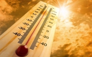Quase todo o Algarve e o interior norte e centro sob perigo máximo de incêndio