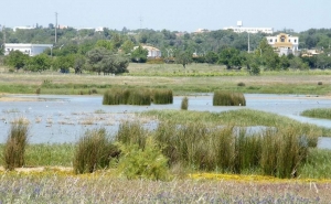 Lagoa dos Salgados: promotores pedem 8 milhões de indemnização a Silves