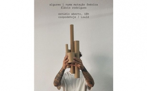 Algures | numa mutação feérica de flávio rodrigues