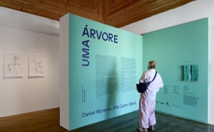 Exposição «UMA ÁRVORE» com nova visita guiada