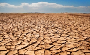 Seca: Se falta de chuva se mantiver no Algarve terão de ser tomadas medidas «mais difíceis» - AMAL