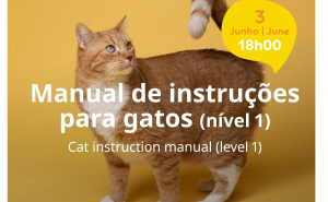 MAR Shopping Algarve promove formação para amantes dos gatos