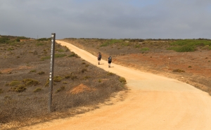  Ecovia e Ciclovia do Litoral Sudoeste de Vila do Bispo está concluída 