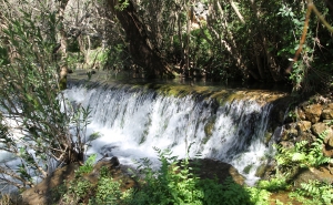 LOULÉ ASSOCIA-SE PELO SEGUNDO ANO AO DIA NACIONAL DA SUSTENTABILIDADE