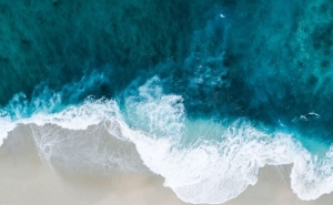 Investigadora da UAlg integra grupo de peritos do Relatório Global da ONU sobre o Oceano
