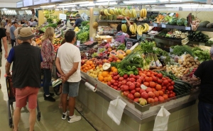 Mercado Municipal de Portimão abre hasta pública sobre módulo para comercialização de produtos hortofrutícolas