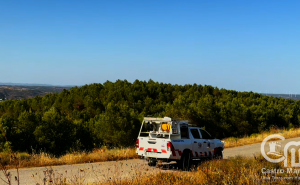 Castro Marim reforça vigilância florestal durante o verão