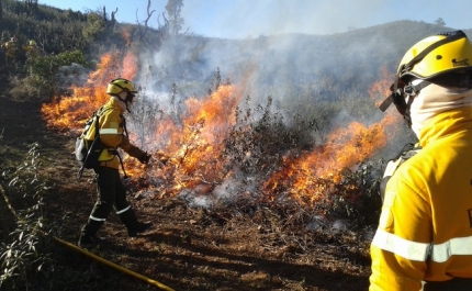 Sapadores Florestais Municipais de São Brás de Alportel melhor preparados para combate a incêndios rurais