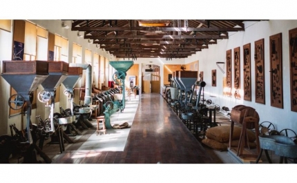 Museu da Cortiça de Silves reabre ao público após 16 anos encerrado
