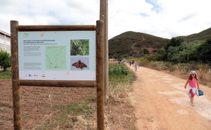 Lagos promove ações de sensibilização no Dia do Ambiente 