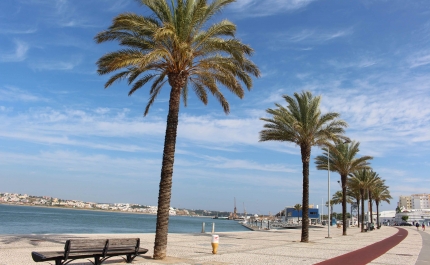 Em abril Portimão isenta tarifas de estacionamento no Largo do Dique e Praia da Rocha 
