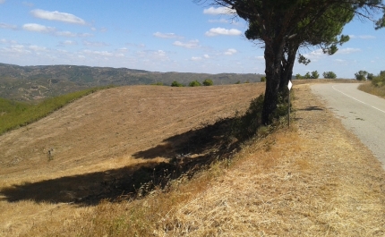 Município de São Brás de Alportel avança na estratégia de prevenção de incêndios