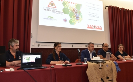 PROTEÇÃO CIVIL DE LOULÉ PROMOVE SESSÃO INFORMATIVA SOBRE VESPA VELUTINA