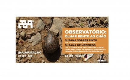 Exposição Observatório: Olhar Rente ao Chão