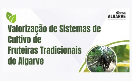 Valorização de Sistemas de Cultivo de Fruteiras Tradicionais do Algarve: Sessão Técnica em Tavira