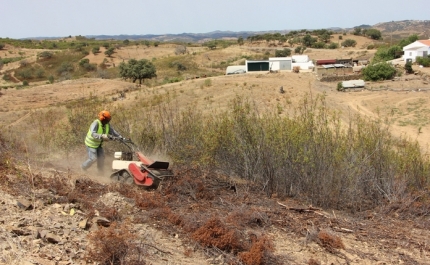 Castro Marim investe 150.000 euros na Defesa da Floresta contra Incêndios