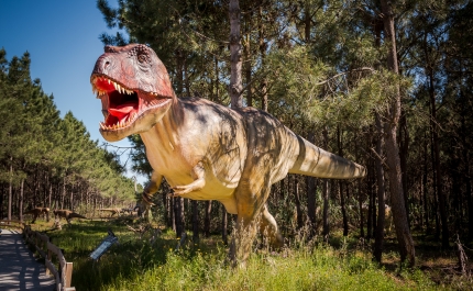 Venha visitar os dinossauros em Albufeira