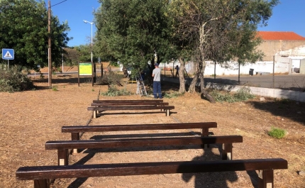 Manutenção do Parque Desportivo avançou para Circuitos de Manutenção Desportiva ao ar livre 