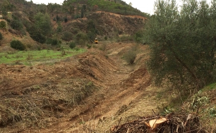 CÂMARA MUNICIPAL DE SILVES PROMOVE TRABALHOS DE LIMPEZA DE LINHAS DE ÁGUA