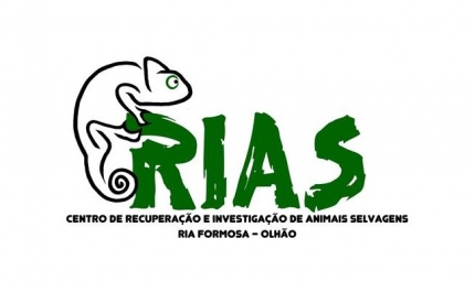 MUNICÍPIO DE SÃO BRÁS DE ALPORTEL OFERECEU PRESENTE  AO RIAS NO SEU 10.º ANIVERSÁRIO