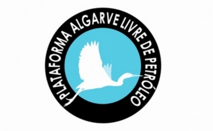 Plataforma anti-petróleo põe em causa validade das consultas públicas