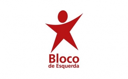 Deputado do Bloco leva EN 124 ao parlamento