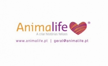 Campanha de maio do Banco Solidário Animal cancelada