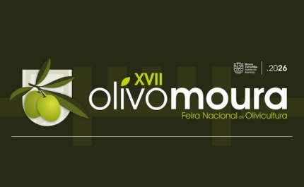 XVII OlivoMoura é hoje inaugurada 