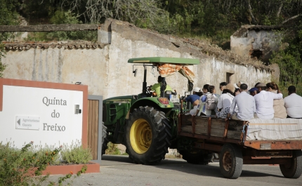 Quinta do Freixo realizou evento para mostrar os resultados da sua aposta na agricultura regenerativa 
