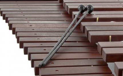 V Festival Internacional de Percussão – Cidade de Portimão