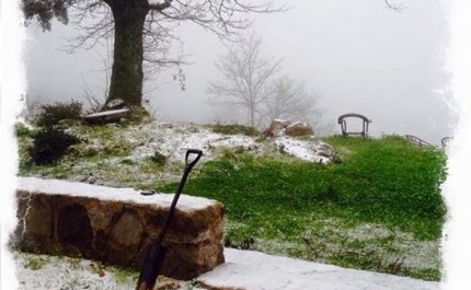 Nevou na Serra de Monchique