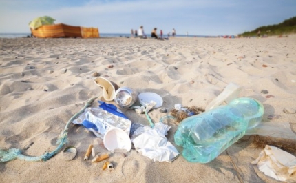 Milhares de voluntários vão limpar praias portuguesas no sábado