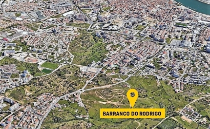 Câmara de Portimão coloca em hasta pública prédio rústico no Barranco do Rodrigo