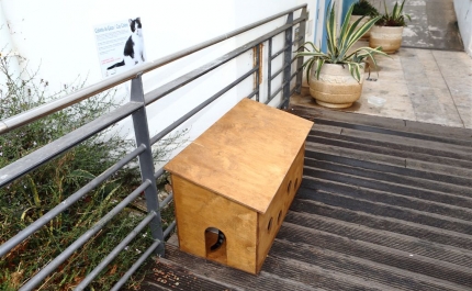 Albufeira assinalou Dia Mundial do Animal com instalação de Abrigos para Gatos