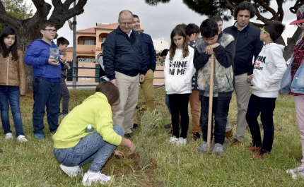 CONCELHO DE LOULÉ FICOU MAIS VERDE EM 2017