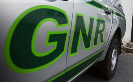 GNR apreende 3 018,74 doses de haxixe na última semana